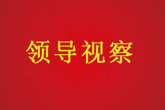陜西省國(guó)土資源廳廳長(zhǎng)盧勇一行來(lái)不動(dòng)產(chǎn)登記服務(wù)中心調(diào)研、指導(dǎo)工作