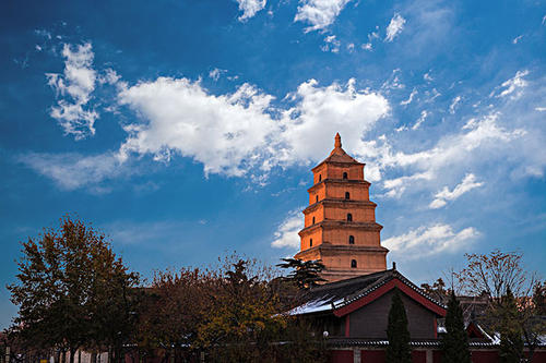 賞曲江美景，體驗(yàn)中國(guó)年