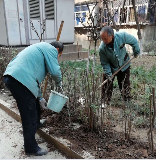 補栽花木，播種希望