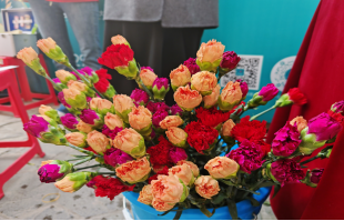 情暖女神節(jié)，物業(yè)送花香