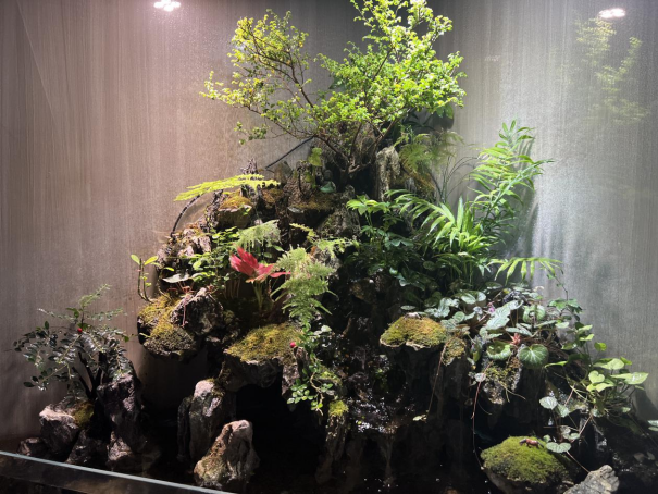 春暖花開，物業(yè)客服前臺(tái)綠植養(yǎng)護(hù)日記