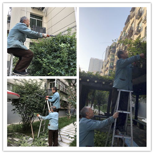 吉祥小區(qū)11月工作簡報