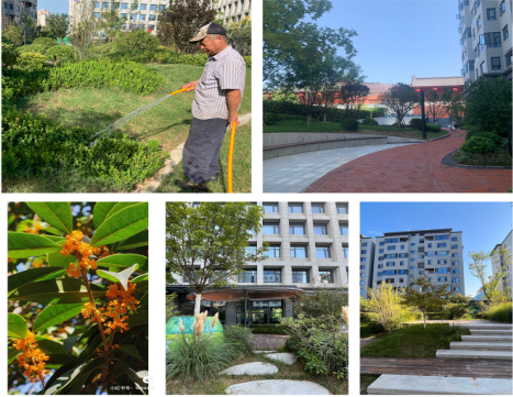 秋日接管大地、美好從未退場