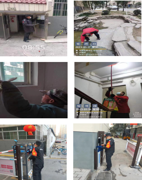 瑞兔守吉祥，平安過大年