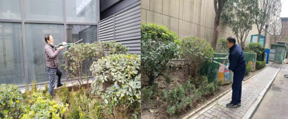 春風(fēng)得意修綠化，打造宜居新環(huán)境