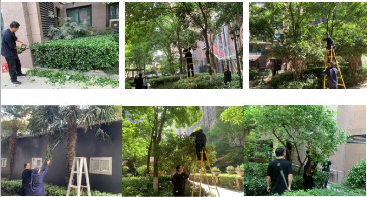 平凡動(dòng)作 守護(hù)家園