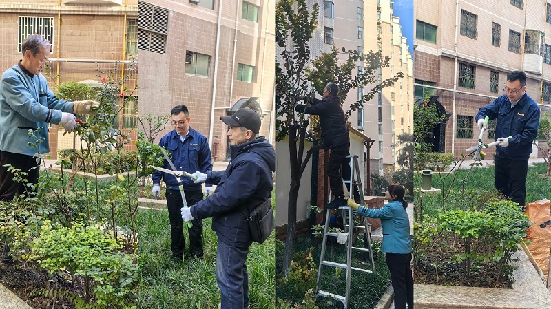 冬日里的修剪，只為靜待春日繁華